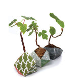 ORIBON Japanese Edition - Origami meets Bonsai