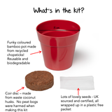 Grow Your Own Wild Strawberries Growing Kit
