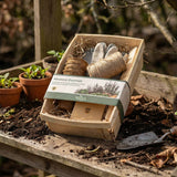 GARDENER'S ESSENTIALS - ALLOTMENT ESSENTIALS KIT