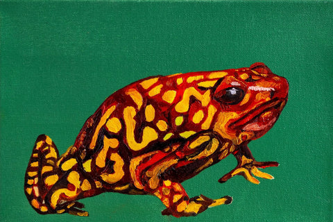 Sezin Aksoy, Shepherds Bush Green (2023)