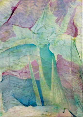 Erin Bird, Dilated Iris (2023)