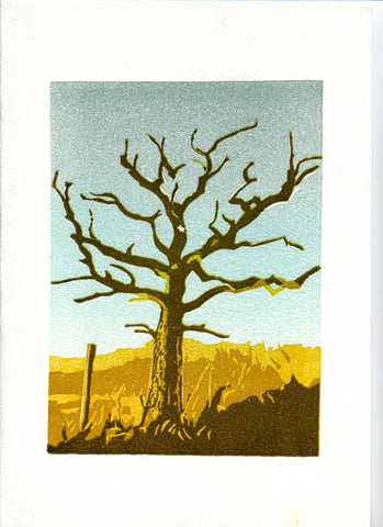 Deb Boultwood, Lone Tree