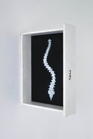 Yuyang Chen, Sol (2022)