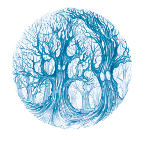 Anna Cliff, Midwinter (2022)