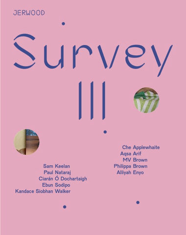 Jerwood Survey III Catalogue