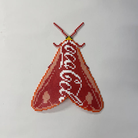 Peter Fish, The Real Thing ? (2025)