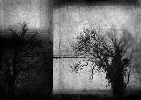 Guy Dickinson, Haven I (2025)