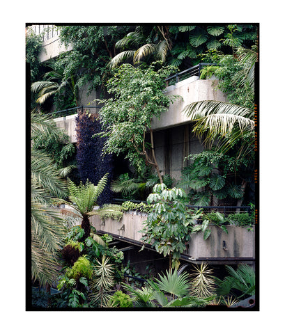 Luke Hayes, Barbican Conservatory (2011)