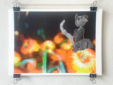 Fox Harrison, sitting on apples (2025)