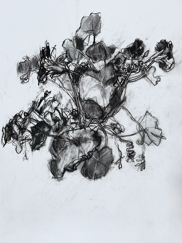 Martin Jones, Tangle (2025)