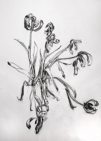 Martin Jones, Tulips Past Their Best (2025)