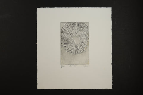 Caro Halford, Air II - Air of Moser