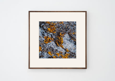 Vladimir Guculak, Margate (2024)