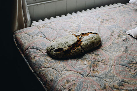 Marjian Tsatsaros Tyagi, The Body (2025)