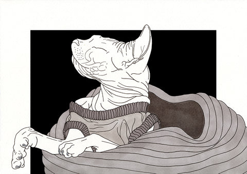 Harriet Pilcher, Sona 02 (2025)