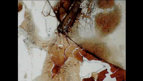 Susanne Dietz, TAU (2025) [Moving Image]