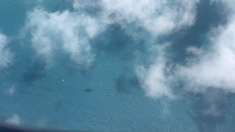 Jane Domingos, Glories (May 2025) [Moving Image]