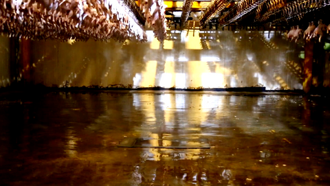 Maryam Nazari, Men Do Not Nourish (2020) [Moving Image]