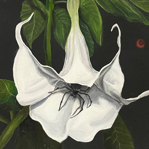 Tiffany Foster, Surprise!