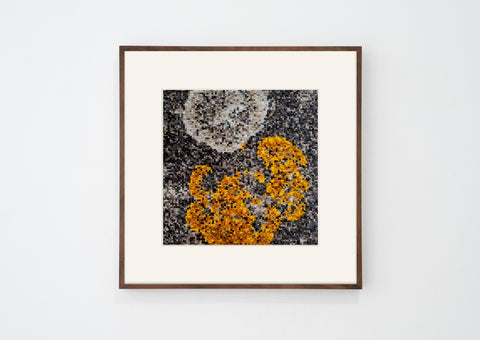 Vladimir Guculak, Temple Place (2024)