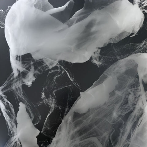 Sonia Thomas, Veil 8 (2025)