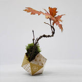 ORIBON Japanese Edition - Origami meets Bonsai