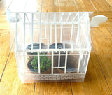 My First Mini Greenhouse