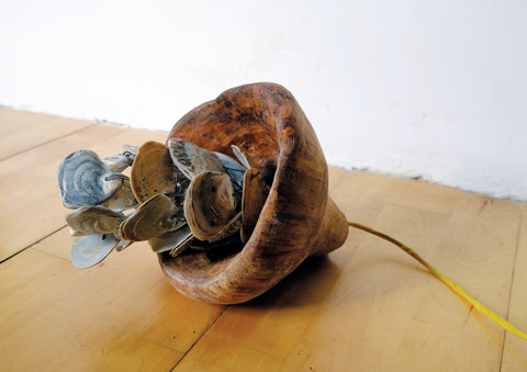 David Sappa, I think I found something (2025)