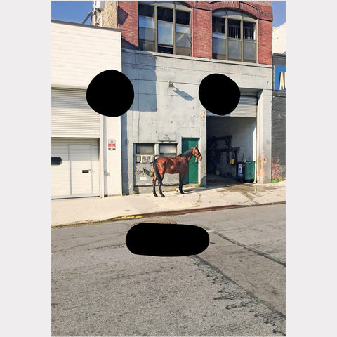 Peter Liversidge // Horse on West 37th Street (2017)